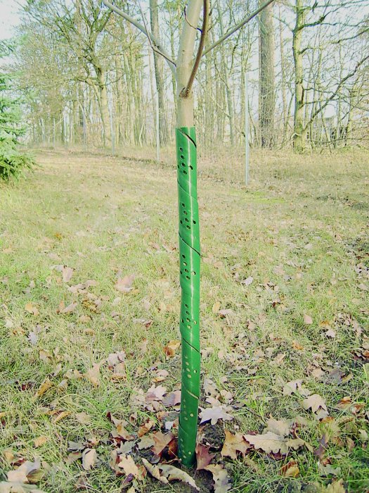 Rainbow Wild-und Fegeschutzspirale